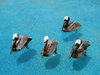 Pelicans