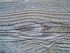 Sandy wood