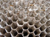 Wasp nest 1