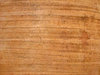 Terracotta 3