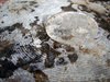 Grunge HD 1