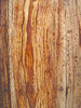Movila wood 1