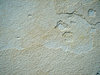 Limestone slate