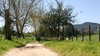 Rural way