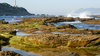 Rocks & waves