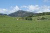 Meadow 2