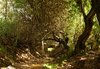 Little stream