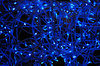 Lights 1