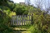 White fence