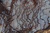Grunge rock texture