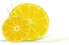 Sunny fruit