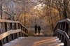 Winter walk