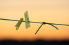 Pegs & line 1