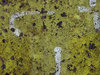 Cracked and peeling paint