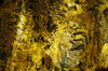 Bronze texture