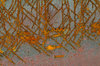 Rust Pattern