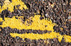 Parking Lot Markings 1