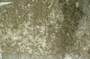 Concrete textures 1
