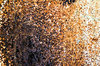 Industrial Erosion 1