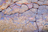 -Beach texture