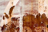 Boxcar textures 6