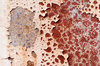 Boxcar textures 8