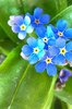 A spring is coming! 9