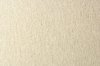 New White Canvas Texture