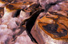 Purnulu dry creek bed 1