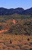 Purnululu dreaming 7