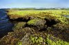 Low Tide Landing 1