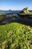 Low Tide Landing 6