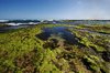 Low Tide Landing 4