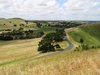 Country road