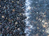 Wave Pebble 4