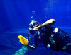 Aquarium