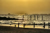 Golden Sunrise