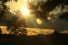 Sunset on the Bayou
