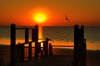 Sunrise  April 13, 2008
