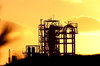 Petro Plant