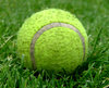 tennis ball