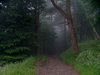 foggy