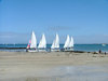 sailing