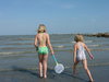 Catching shrimp