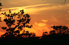 Texas Sunset