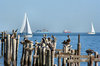 Sailboats