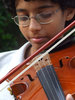 Violin 2