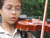 Violin