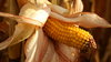 Ear of corn