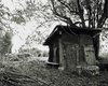 Hut in a forest 2